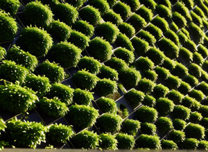 Barcelona remodelează zidurile urbane inestetice printr-un concurs internațional de arhitectură