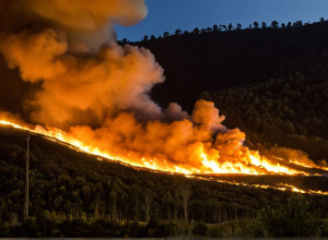 Pirotaan, condamnat la opt ani de închisoare în Asturias pentru incendii devastatoare