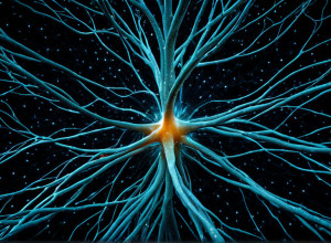 Iraționalitatea deciziilor: Cum "efectul de momeală" și algoritmii ne ghidează alegerile