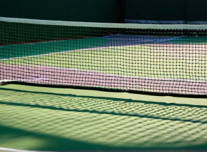 David Ferrer își regăsește bucuria de căpitan: "Am simțit din nou adrenalina" după Cupa Davis