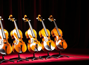 Trei cvartete de coarde de elită concertează la ciclul „Da Camera” din Madrid