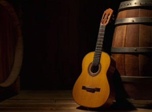 Spectacolul "Flamenco Real" Aduce Arta Tradițională Spaniolă la Madrid