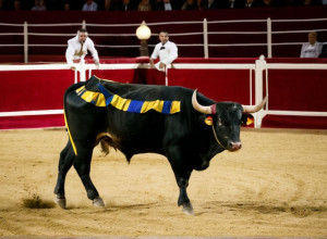 Gala Premiilor Taurine de la Cazinoul din Madrid: O celebrare a artei coridei, fără Morante de la Puebla