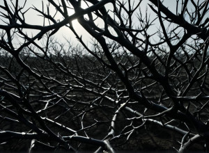 Mișcarea Feministă din Spania în Ajunul Zilei de 25 Noiembrie: Eșecuri în Protecție și Discursuri Negationiste