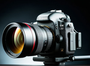 Articol exemplu în română