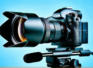 Exemplu de articol în limba română