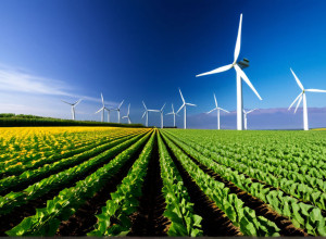 Inovații în domeniul energiei regenerabile