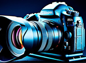 Exemplu de articol în limba română