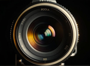 Operele Susan Sontag: Feminismul și Critica Fotografiei Reeditate