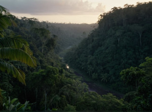 Columbia: Şase minori confirmaţi morţi într-un bombardament militar în Guaviare