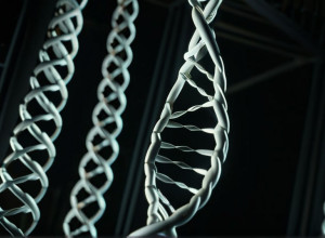 ADN-ul lui Hitler: Documentarul controversat dezvăluie secrete genetice și stârnește dezbateri etice