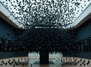 MACBA Sărbătorește 30 de Ani cu Expoziția "Ca un Dans de Grauri": O Privire Proaspătă Asupra Colecției