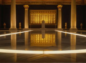 Filantropia Publică: Cum Elita Bogată Își Cumpără Nemurirea prin Donații Masive