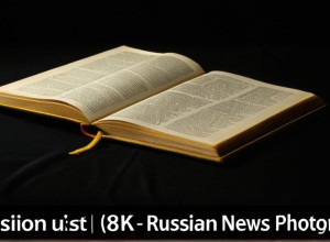 Limba Română: Elemente de Gramatică