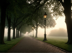 Două adolescente găsite moarte într-un parc din Jaén; poliția investighează o posibilă sinucidere