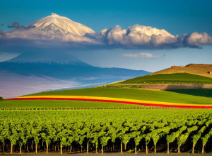 Relațiile dintre Armenia și Azerbaidjan: perspective și provocări