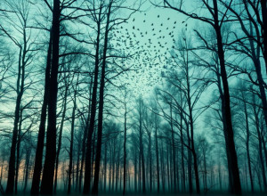 Dilema păsărilor cântătoare: Noul roman al lui Jean-Yves Jouannais despre denazificare și supraviețuirea ideologiilor