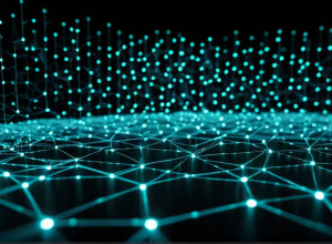 Date digitale ca simbol al confidențialității și urmăririi