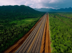 Guvernul Mexican a Ascuns Incalcări Ecologice Majore la Proiectul Tren Maya