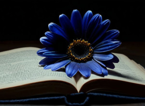 Povestea emoționantă a lui Nieves Pueyos: Cum poezia a ajutat-o să depășească anorexia