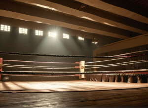 Speranța în Ring: Povestea Boxului ca Refugiu în Conflictul Nord-Irlandez