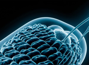 Daiichi Sankyo: Inovația Științifică și Sustenabilitatea, Piloni ai Progresului Medical