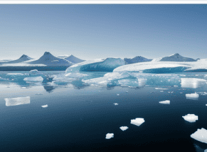 Agitație pe plajele Antarctidei: «Efectul TikTok» aduce lumea pinguinilor la turiști