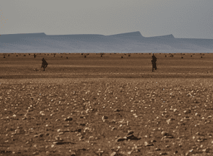 Podcast | Războiul din Sudan, văzut prin ochii unei lucrătoare umanitare sudaneze