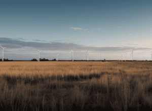 Guvernul spaniol intenționează să autorizeze o explorare pentru reactivarea unui depozit de gaze lângă Doñana – Impact asupra mediului și tranziția energetică