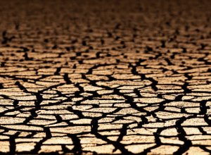 Seceta Revine în Spania și Va Fi Tot Mai Severă din Cauza Schimbărilor Climatice, în ciuda Ploilor Recente