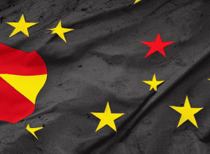 Parlamentara Vox din Navarra își păstrează mandatul pentru a “contracara” “direcția ideologică” a partidului - Știri Politice