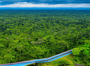 Brazilia deschide o autostradă într-o zonă protejată din Amazonia pentru a găzdui invitații la summitul climatic de la Belém