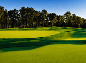 Scottie Scheffler: Dorul Bătăliilor cu Jon Rahm și Ambii Joacă Golf la Cel Mai Înalt Nivel