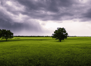 Furtuna 'Martinho' aduce alerte meteo în aproape toată Spania, cu excepția Insulelor Canare