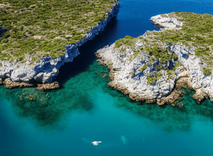 Menorca: O creșă imensă de cașaloți, zonă protejată [Cuvinte cheie: cașaloți, Menorca, protecție]