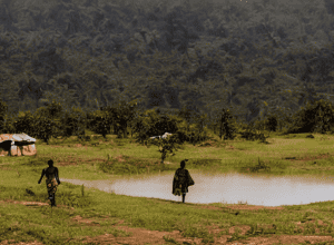 Exploatarea Cobaltului în Congo: Femeile Trăiesc în Insecuritate
