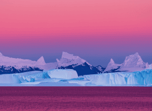 Zăpada Roz a Antarcticii