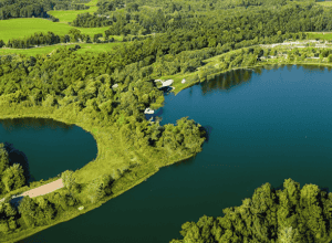 Viața la Limita Unui Lac Contaminat