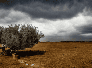 Siguranță și viitor luminos pentru Israel și Palestina