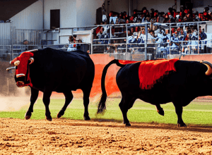 Ayuso Investește Milioane de Euro în Tauromahie: Controversa și Strategie Politică în Madrid