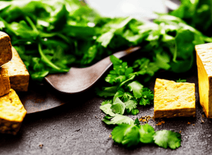 Tofu Landeira: Paradisul de soia pe pământ galician