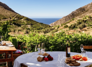 Tasca: Bucătărie fără foc și vinuri naturale în Cabo de Gata
