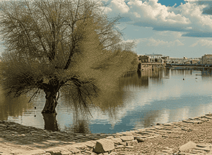 Toledo are din nou plajă datorită creșterii râului Tagus: «Este un cadou al naturii»