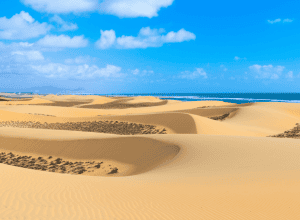 Conflictul Riu - Tranziție Ecologică, Fuerteventura: Un nou «Algarrobico»?