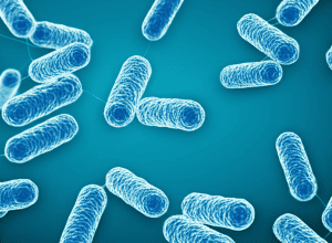 Primul antibiotic descoperit în 30 de ani vine la timp pentru a preveni ca supergonoreea să devină imposibil de tratat