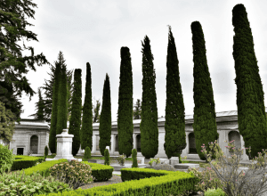 O plimbare prin cimitirul La Almudena cu Pedro Díaz, grădinarul care îngrijește viața cimitirelor madrilene