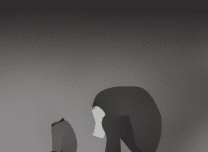 Belén Colomina, psiholog clinician: «Bullying-ul nu este o problemă a copiilor, ci a întregii societăți»