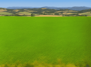 Spania depășește Franța ca țară europeană cu cea mai mare suprafață de producție ecologică