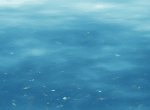 Marea de plastic: Studiu global al oceanelor măsoară mii de microparticule până în groapa Marianelor