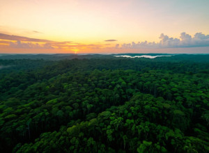 Protest indigen a perturbat summitul COP30 din Amazon: "Pământul nostru nu este de vânzare"